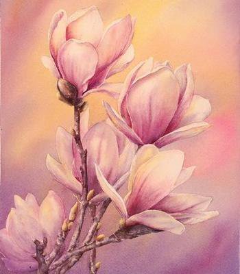 Магнолия - магнолия - оригинал