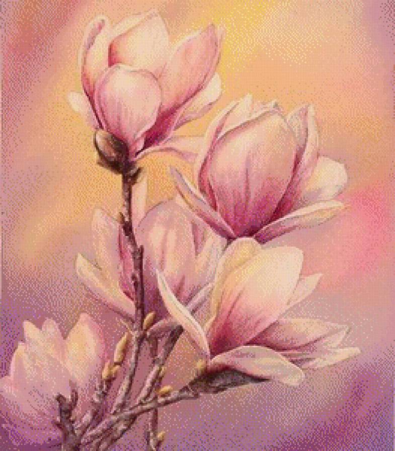 Магнолия - магнолия - предпросмотр