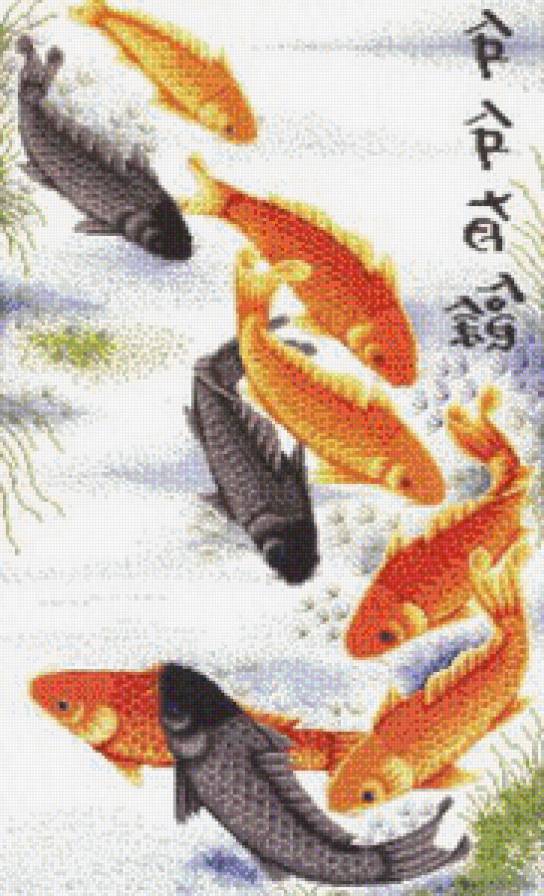 Карпы - карпы - предпросмотр