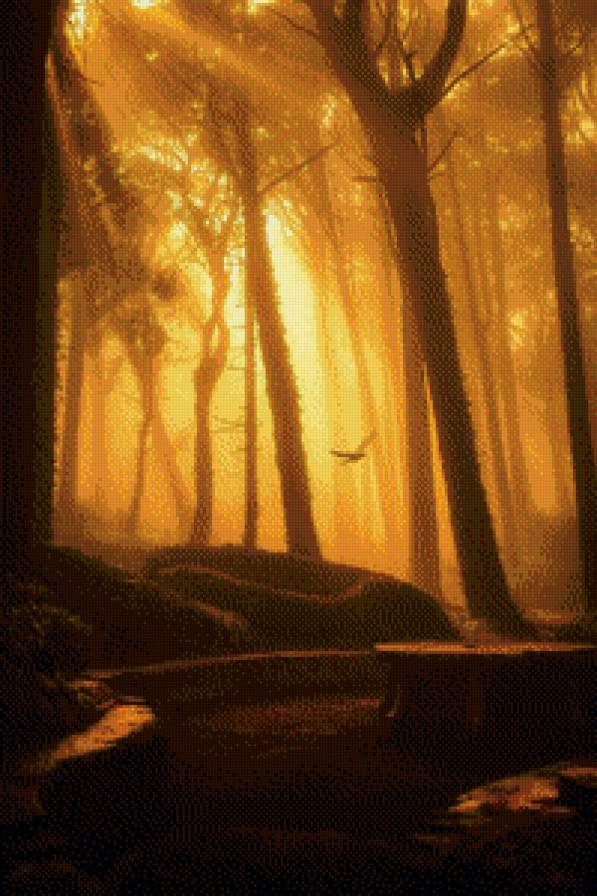 Вечерний лес - лес вечер романтика пейзаж - предпросмотр