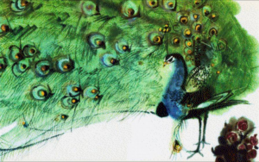 Павлин - павлин - предпросмотр