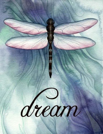 Стрекоза - оригинал