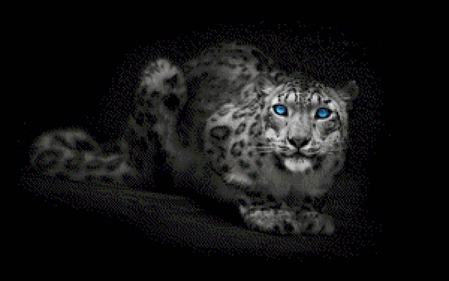 Леопард - леопард - предпросмотр