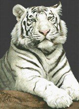 Схема вышивки «Тигр»