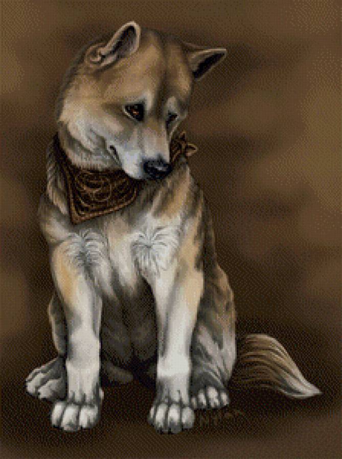 Собачка - животные, собаки - предпросмотр