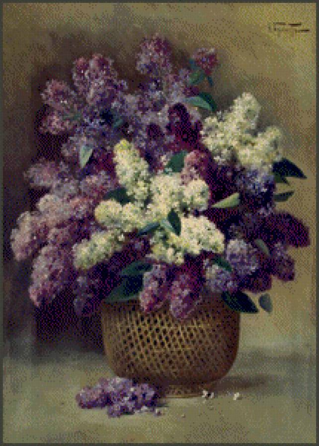 сирень - цветы - предпросмотр