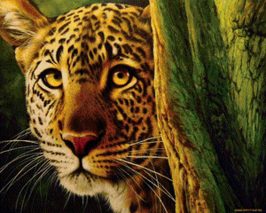 Леопард - животные - предпросмотр