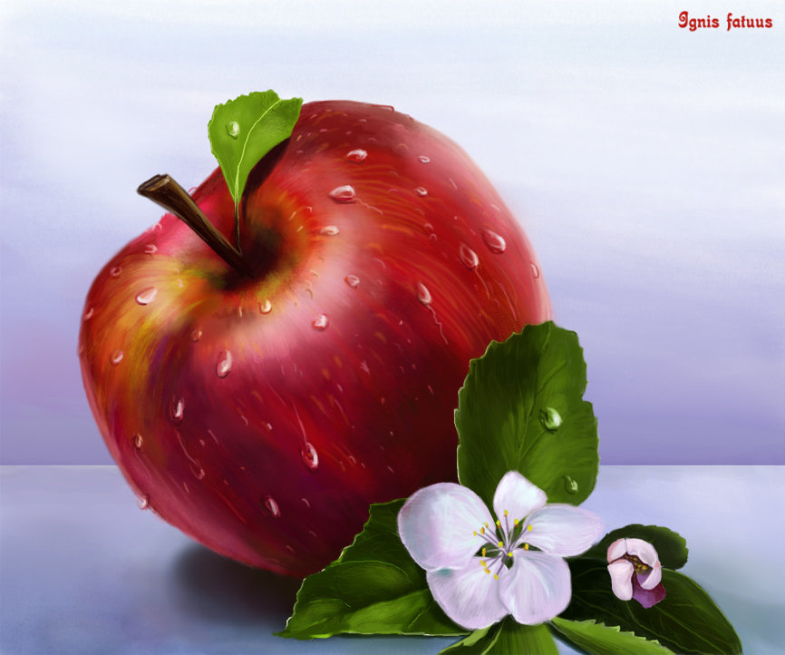 Яблочко - натюрморт, фрукты - оригинал