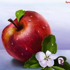 Схема вышивки «Яблочко»