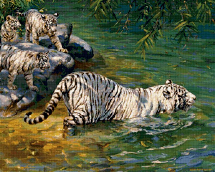 Купание - животные, тигры, кошки - предпросмотр