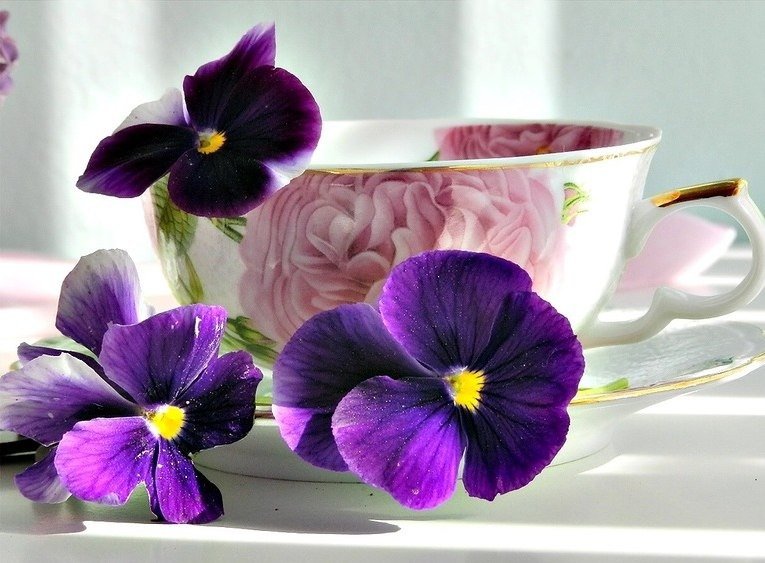 №639007 - чашка, цветы, виолы, анютины глазки - оригинал