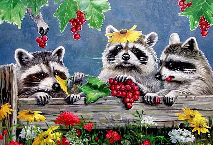 Забавные енотики - оригинал