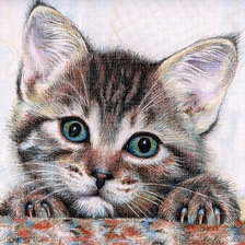 Оригинал схемы вышивки «любопытный котёнок» (№639180)