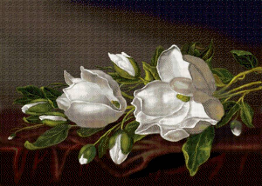 магнолия - ветка, магнолия, восток, весна, нажность - предпросмотр