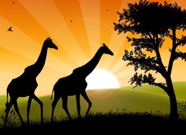 африка - оригинал