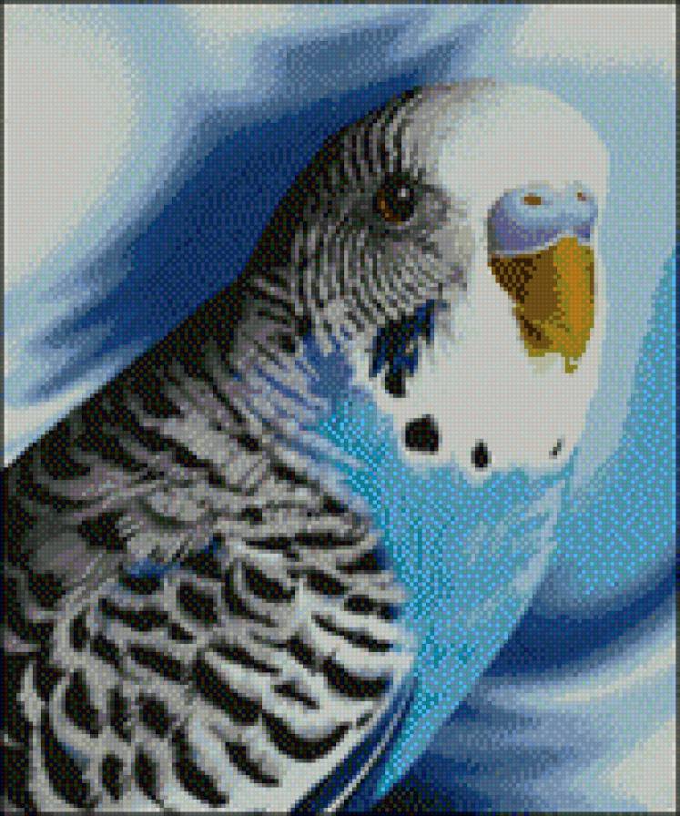 кешка - предпросмотр