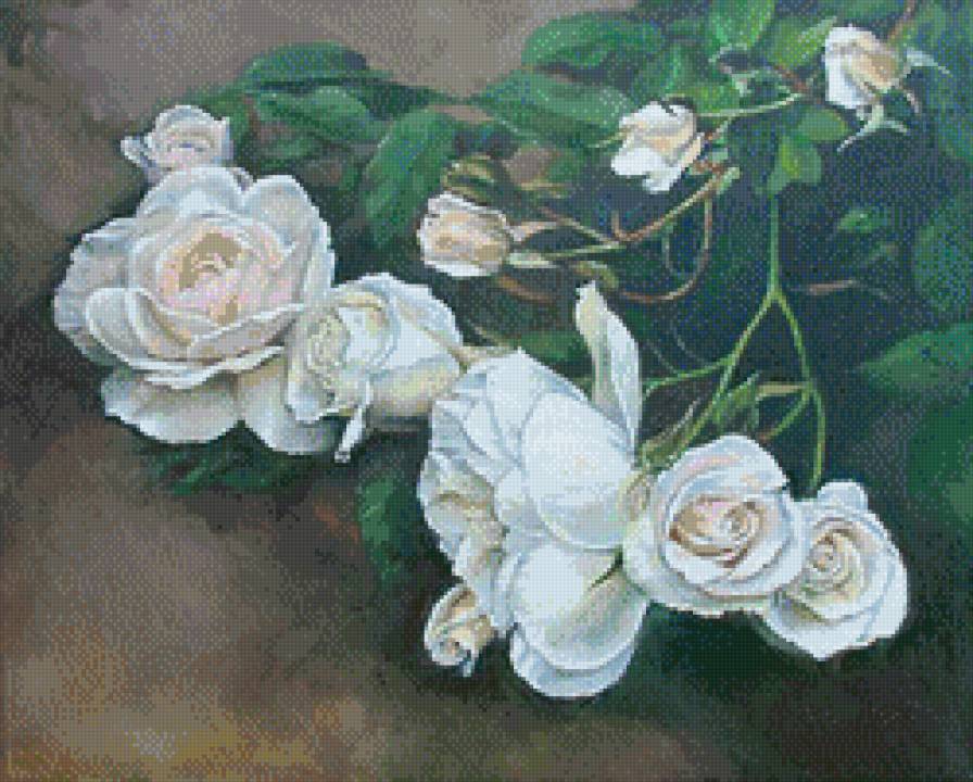 roze - roze w malastwie - предпросмотр