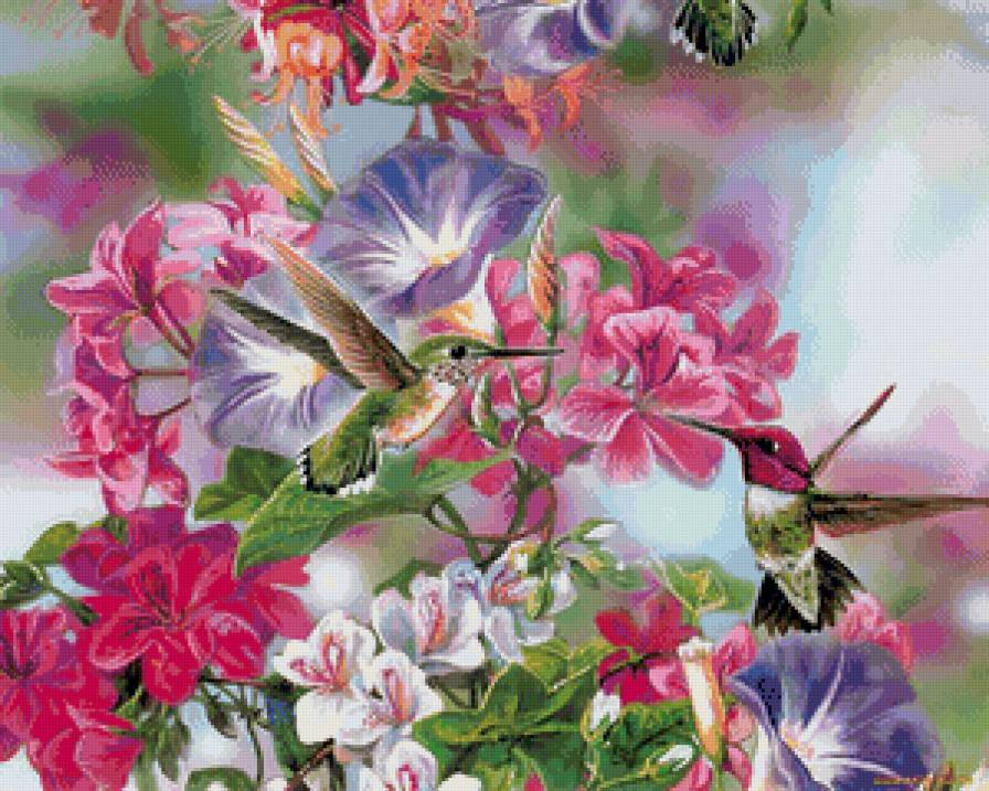 Серия птицы - птицы, природа - предпросмотр