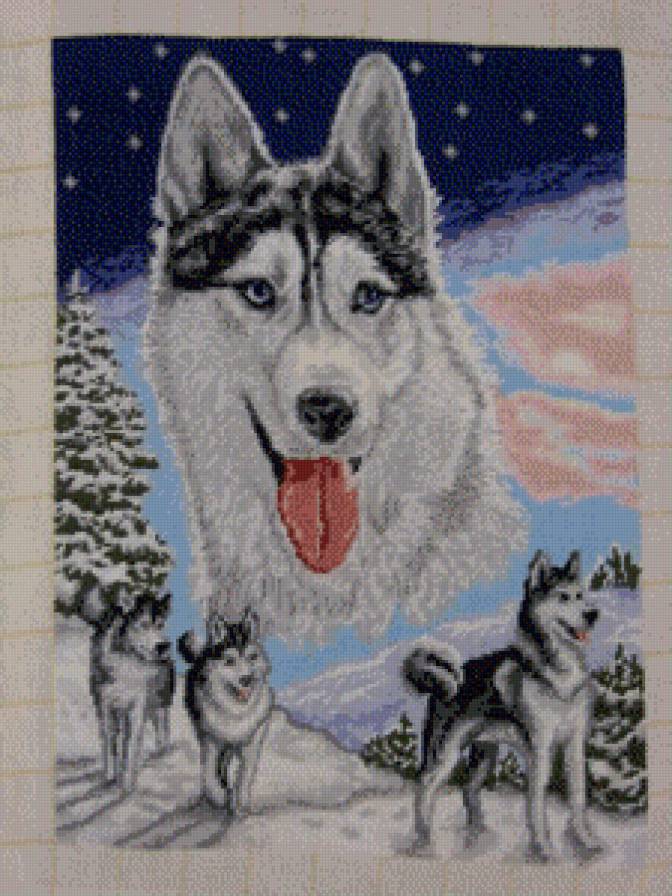 серия "волки" - животные. волки - предпросмотр