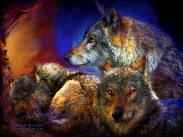 серия "волки" - животные. волки - оригинал
