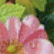 Предпросмотр схемы вышивки «цветы» (№639461)