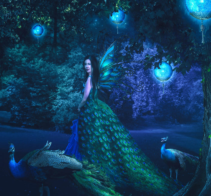 в ночном саду - павлин, девушка - оригинал