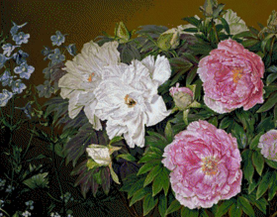 Jose Escofet - roze w malarstwie - предпросмотр