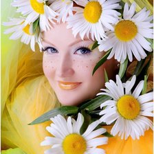 Схема вышивки «РОМАШКОВОЕ ЧУДО»