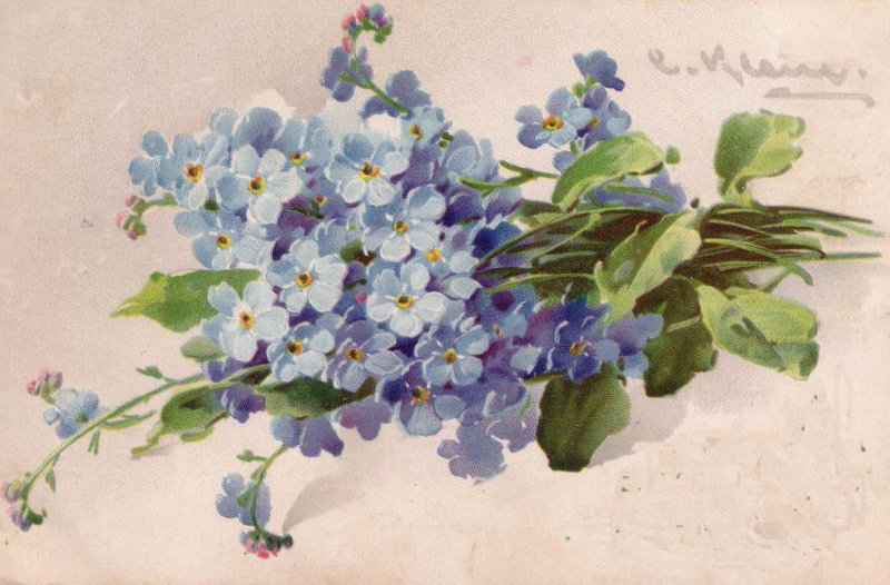 незабудки - цветы, открытка, живопись, ретро, арт, акварель, незабудка - оригинал