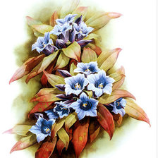 Схема вышивки «цветы»