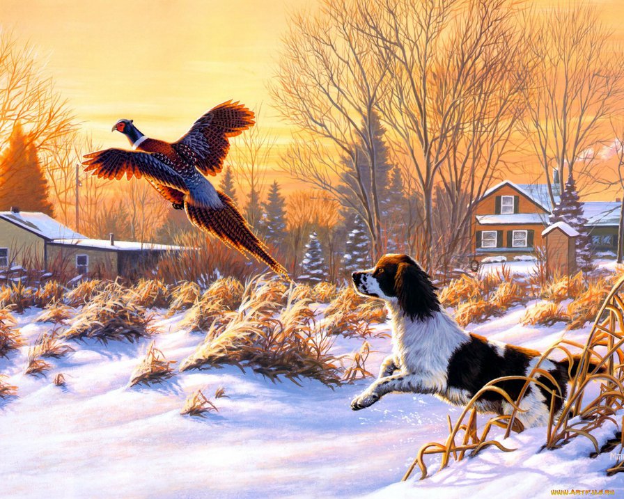 Серия Охота - собаки, природа, животные - оригинал