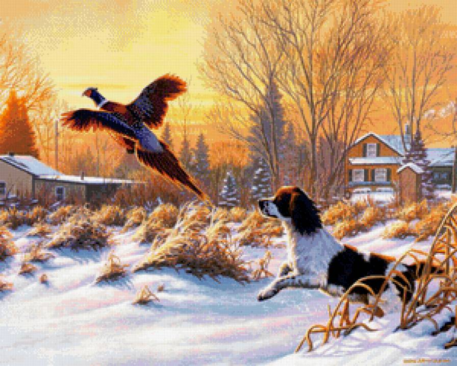 Серия Охота - животные, собаки, природа - предпросмотр