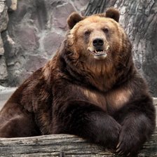 Схема вышивки «мидведи»