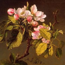 Схема вышивки «ветка цветущей яблони»