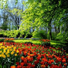 Схема вышивки «№640035»