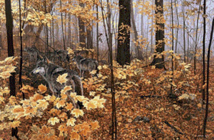 Wilki w jesiennym lesie - pejzaz, wilki, jesien - предпросмотр