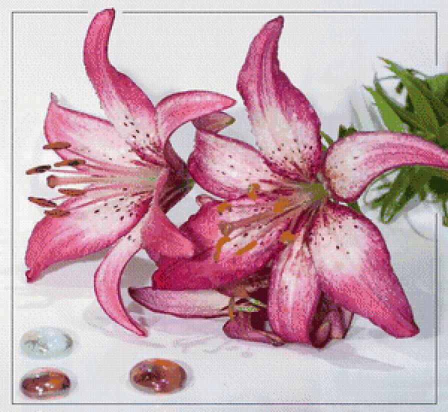 Лилии - цветы - предпросмотр