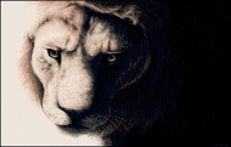 Белый Лев - лев, животные, рисунок - предпросмотр