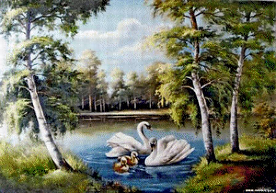 лебеди в пруду - птицы - предпросмотр