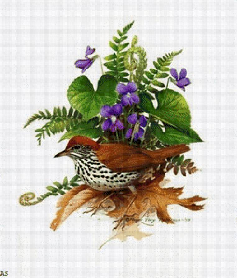 птичка с фиалками - птичка - предпросмотр