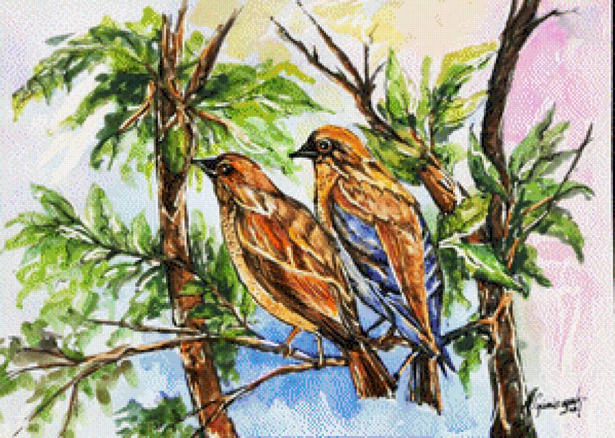 птички - птицы - предпросмотр