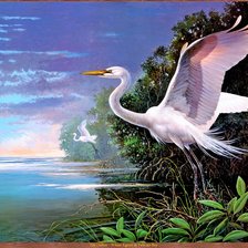 Схема вышивки «розовый фламинго»