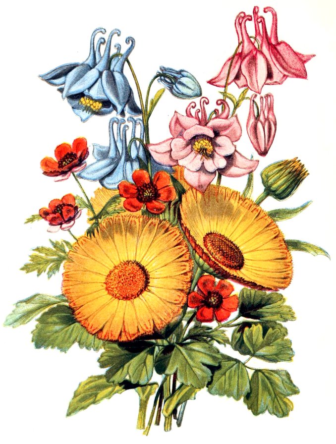 букет летних цветов - панно, рисунок, букет, лето, цветы - оригинал