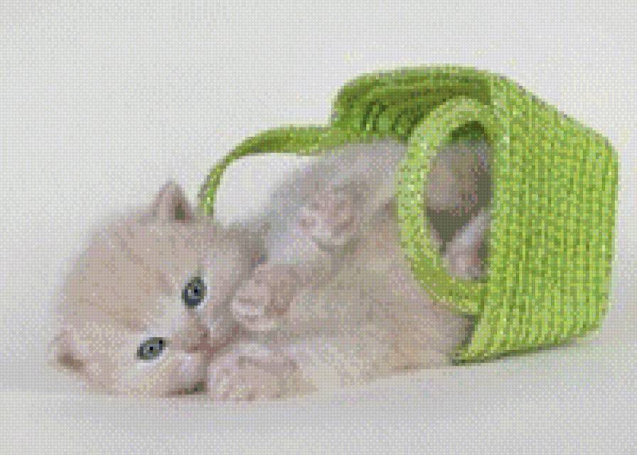котик - котенок, очарование, корзина - предпросмотр