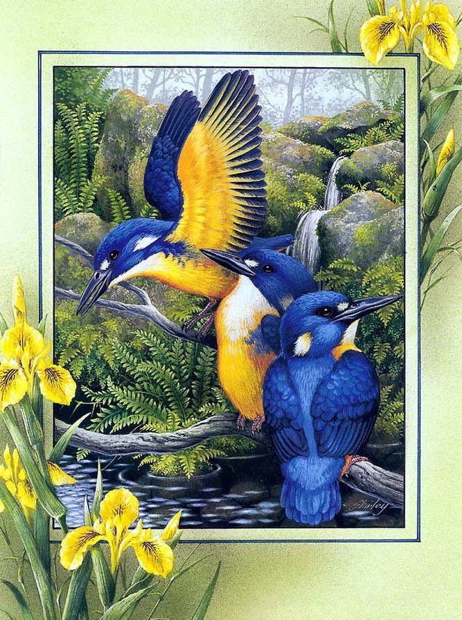 зимородки - цветы, природа, птицы, пано - оригинал