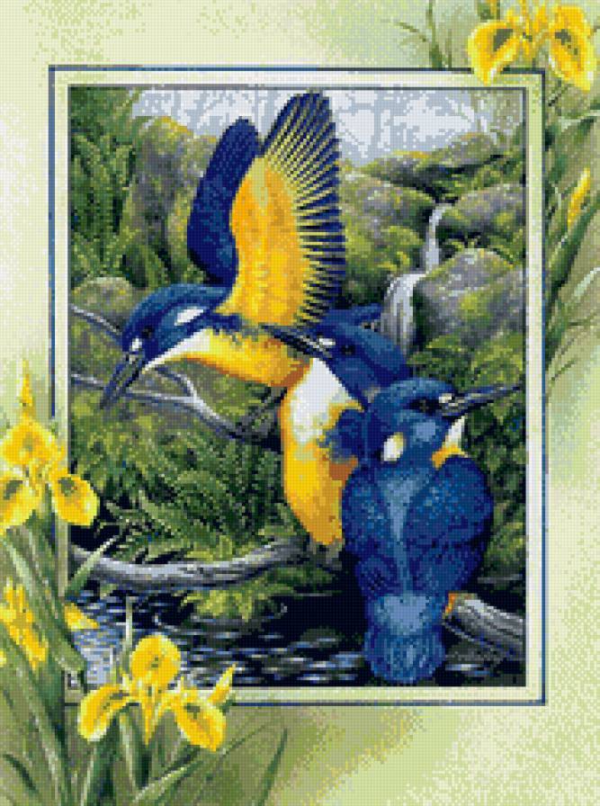 зимородки - природа, пано, цветы, птицы - предпросмотр