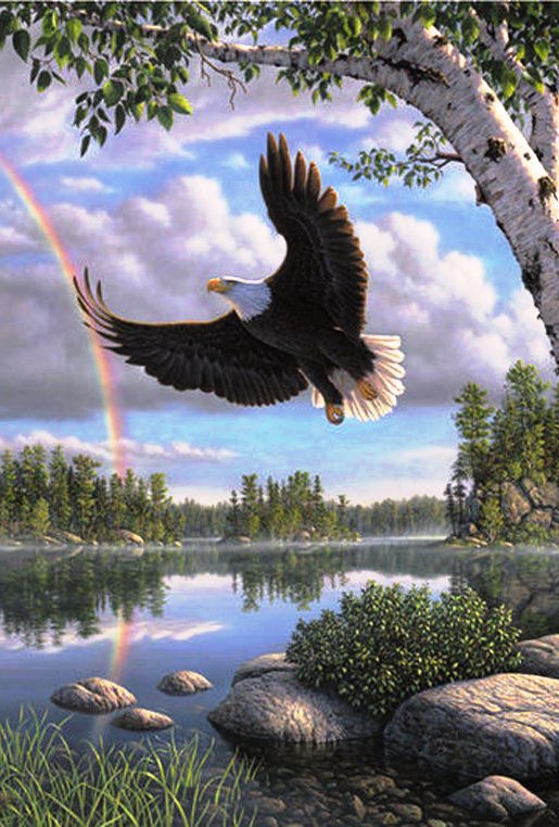 полет орла - птица, природа, озеро, орел, пейзаж - оригинал