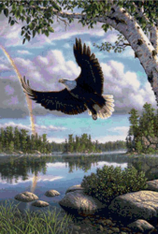 полет орла - орел, птица, озеро, природа, пейзаж - предпросмотр