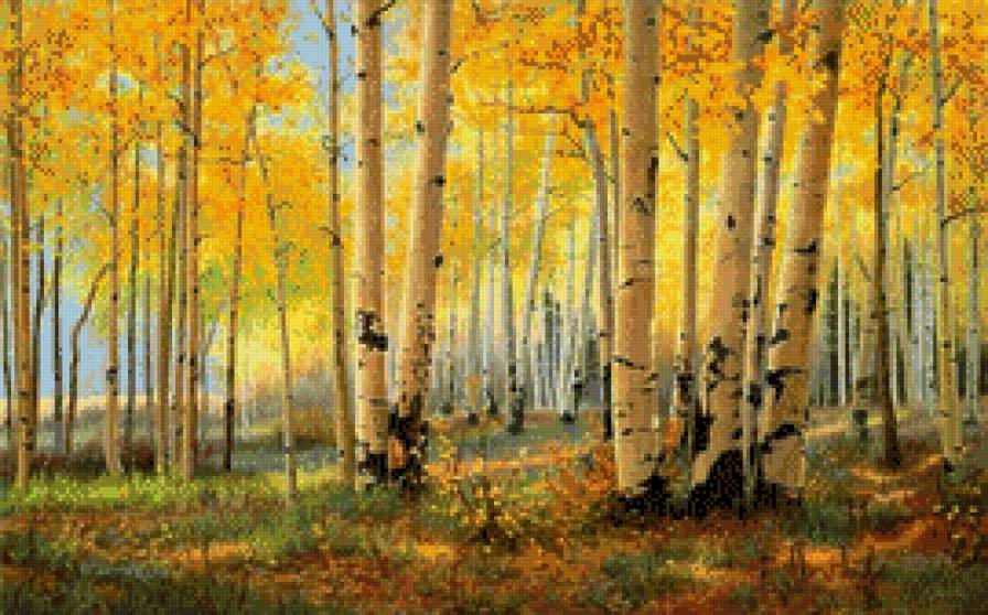 Las brzozowy - pejzaz, jesien, brzozy, las - предпросмотр