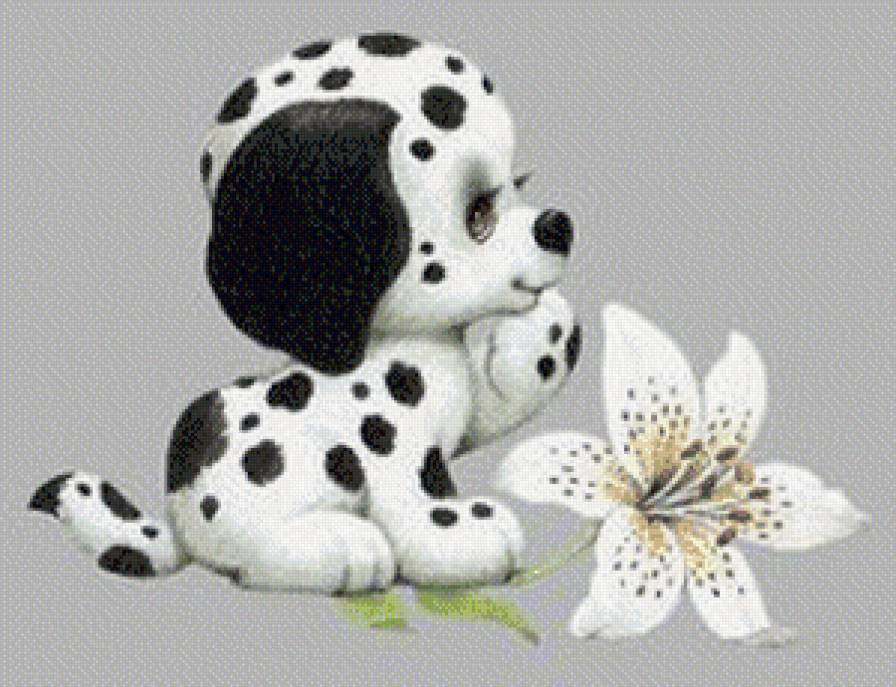 долматинчик - долматины, щенки - предпросмотр